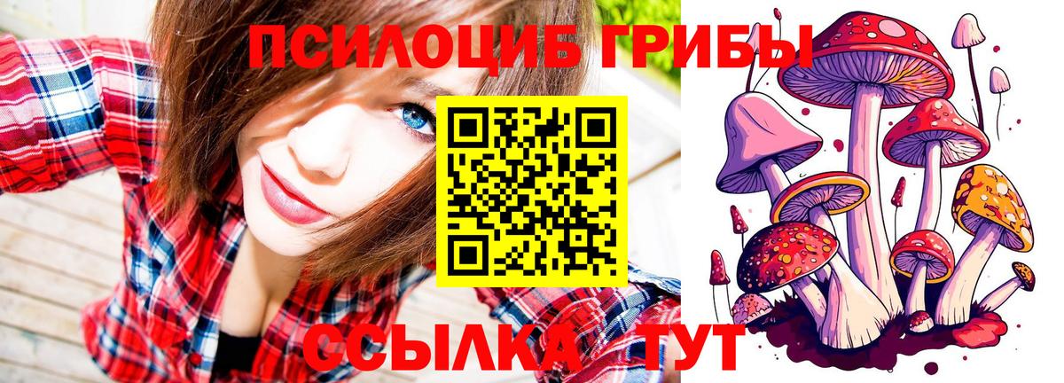 Верхняя Пышма  Галлюциногенные грибы GOLDEN TEACHER  Вход с VPN 